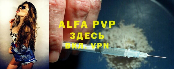 сатива Алексин