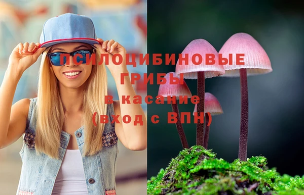 герыч Алзамай