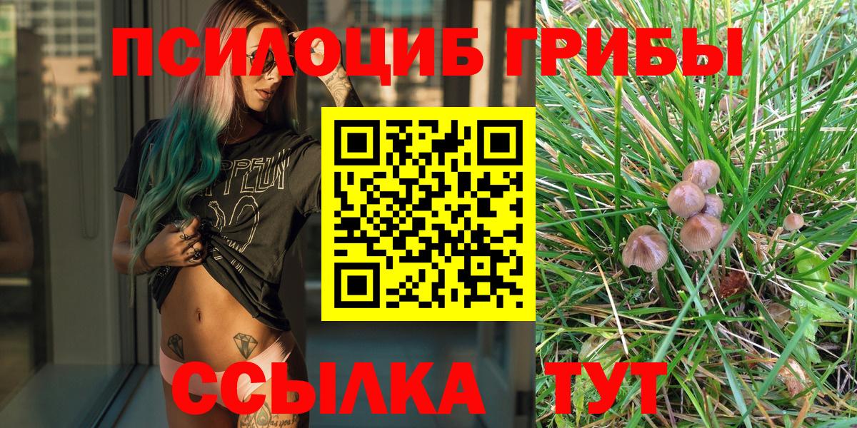 Галлюциногенные грибы Magic Shrooms  Вход с VPN  Галлюциногенные грибы GOLDEN TEACHER  Котельники 